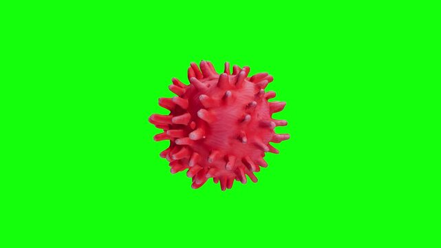 3D muscle fiber icon animated on green screen background