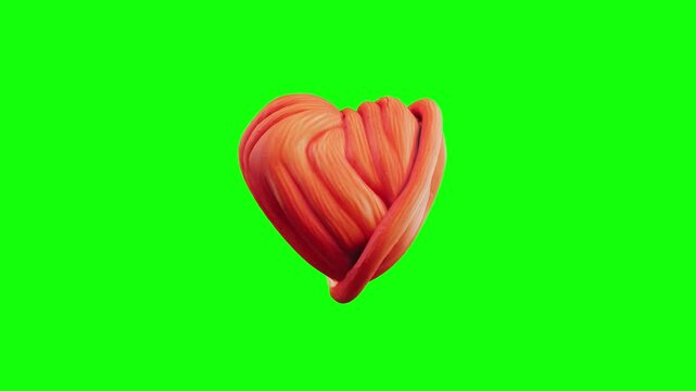 3D muscle fiber icon animated on green screen background