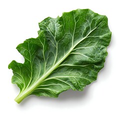 Fresh Green Leaf of Collard Greens Isolated on White Background for Healthy Cooking