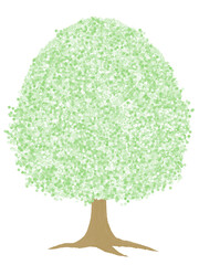 シンプルな新緑の木のイラスト