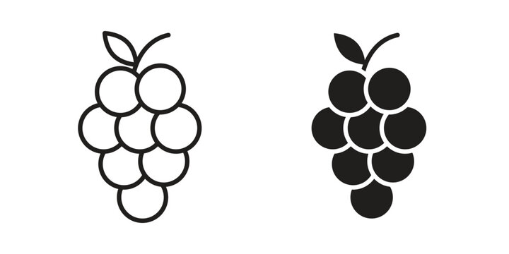 Grapes icon. Premium thin line vector illustrator. Vector EPS10
