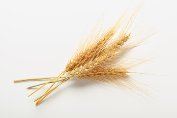 Fototapeta premium Wheat stalks arranged on a plain surface in natural light during the day