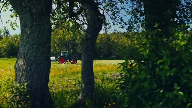 Static shot of a green Fendt tractor in a farm meadow through the trunks and foliage of large oak trees