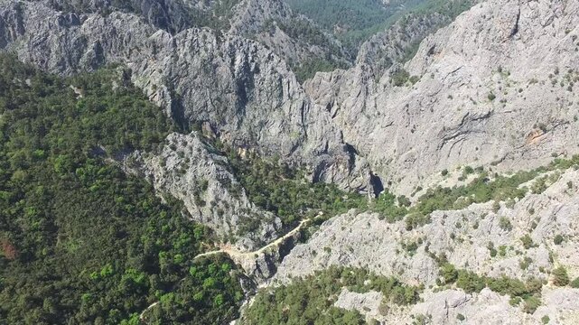 Aerial view of rocky deep valleys and pine forested mountains across western USA landscapes. Birdseye perspective reveals rugged canyons, evergreen woods, steep ridges, and winding streams.