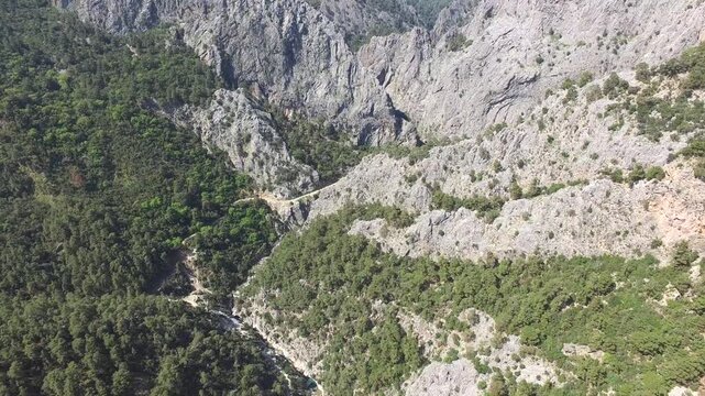 Aerial view of rocky deep valleys and pine forested mountains across western USA landscapes. Birdseye perspective reveals rugged canyons, evergreen woods, steep ridges, and winding streams.