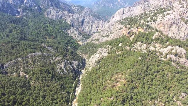 Aerial view of rocky deep valleys and pine forested mountains across western USA landscapes. Birdseye perspective reveals rugged canyons, evergreen woods, steep ridges, and winding streams.