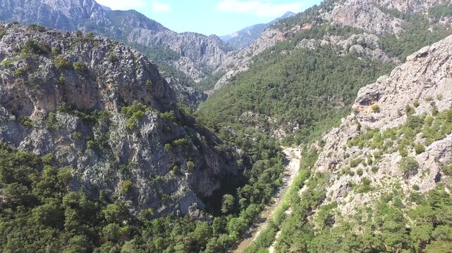 Aerial view of rocky deep valleys and pine forested mountains across western USA landscapes. Birdseye perspective reveals rugged canyons, evergreen woods, steep ridges, and winding streams.