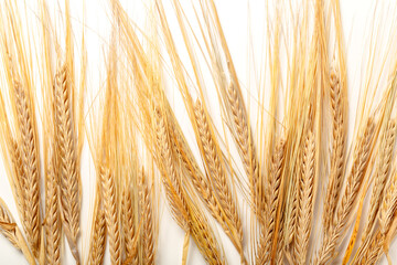 Naklejka premium Wheat stalks arranged in a pattern on a light background during the daytime