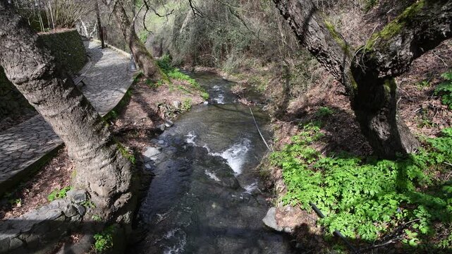 High-angle view of a clear mountain stream flowing through the lush valley of Kalopanayiotis, Cyprus. The water cascades over rocks, surrounded by vibrant green vegetation and forest trees.