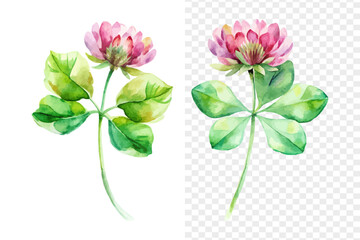 Watercolor Zigzag Clover Flower Illustration, Unique Botanical Clipart, vector isolated on white background