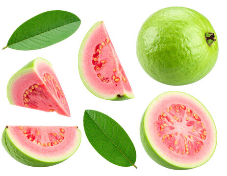 Collection of green pink fleshed guava fruit pieces and leaves isolated on white background with clipping path