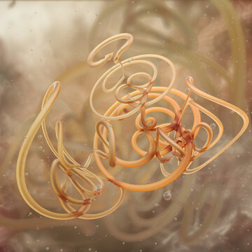 Toxocara cati feline roundworm parasite anatomical features including cervical alae, cylindrical body. Cat helminthiasis, the lifecycle of ascarids, pharmaceutical marketing, anthelmintic treatment