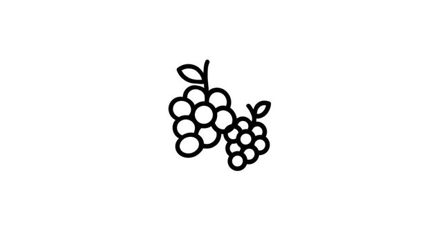 icon motion graphic juicy grapes