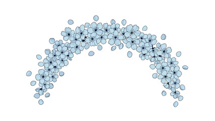 Obraz premium Beautiful arch-shaped arrangement of light blue cherry blossom flowers and falling petals on a clean white background for design.