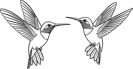 Obraz premium Black and white stylized illustration of two hummingbirds facing each other in mid-flight with detailed wings, feathers, and symmetry, perfect for decorative design purposes