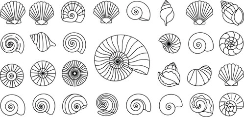Decorative seashell line icon set featuring various marine mollusk shapes including spiral nautilus shells, scallop shells, conch shells, and symmetrical sea snail designs. © Maslima