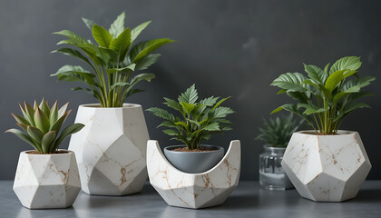 Set of stylish potted plants with white marble effect pots