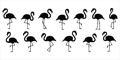 Twelve Black Silhouette Flamingos Standing on One Leg on a White Background Keywords: flamingo, silhouette, black, white