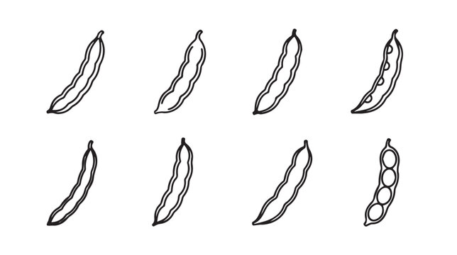 Collection of Hand Drawn Bean Pods Isolated on White Background Various Styles