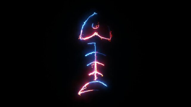 Animated fish bone silhouette neon glowing lines motion graphic clip