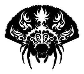 Fototapeta premium Peacock Spider Dance - Tribal Pattern Vector