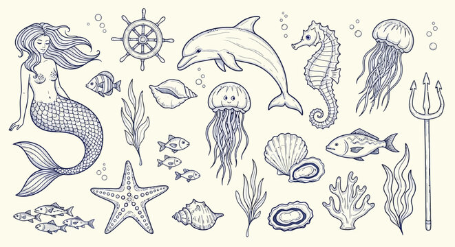 A charming collection of hand-drawn marine life and mythical creatures, including a mermaid, dolphin, seahorse, jellyfish, starfish, shells, and aquatic plants.