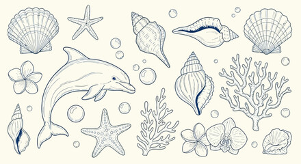 A charming hand-drawn illustration featuring a playful dolphin surrounded by various marine elements like seashells, starfish, coral, and flowers, set against a textured background. © Jonan