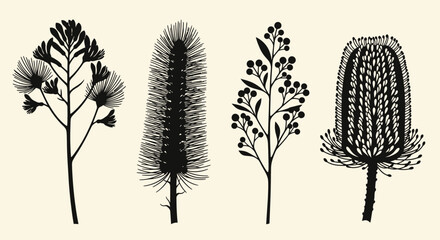 A minimalist illustration showcasing four distinct Australian native flora species in silhouette against a cream background. © Jonan