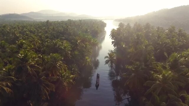 Aerial view of river and coconut palm forest in Honnavar