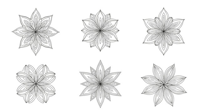 Detailed geometric flower and mandala star shapes illustrated in fine line art for intricate pattern and tattoo designs.
