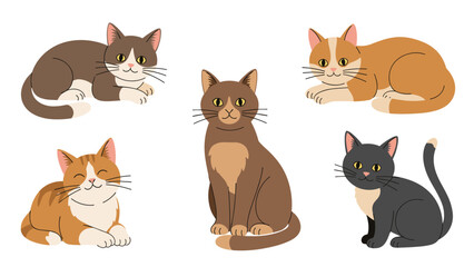 Fototapeta premium Set of adorable domestic cat illustrations showing different breeds and coat colors in various sitting and lying positions on white.