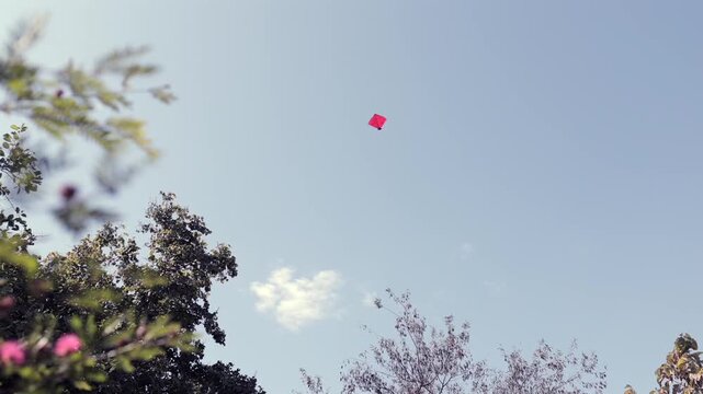 A shot of Kite flying in clear blue sky