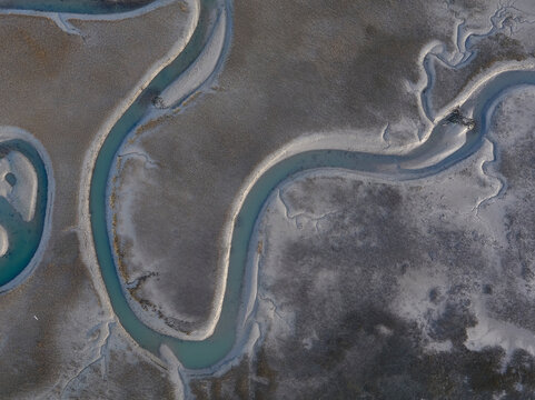 USA, Aerial view of a cotton field on the Eastern Shore of Virginia
