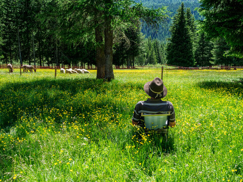 Italy, Lombardy, Stelvio National Park, hiker resting on meadow