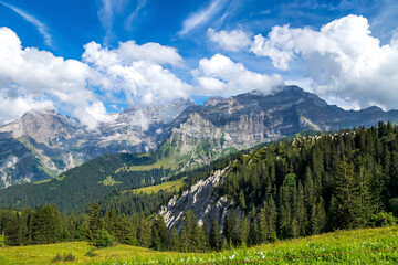 Switzerland Fribourg Mountain Range Near