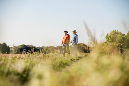 Two old friends taking a stroll through the fields, talking about old times