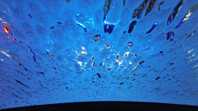 A view from inside a vehicle during an automatic car wash at a service center.