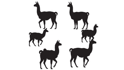 Llamas silhouettes set with black alpaca and llama poses, walking standing animals isolated on white background vector © Beckham 