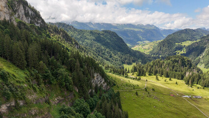 Obraz premium Aerial, bird view, Steep mountain slope with rocks and alpine pine trees at left side.. Green valley in Swiss Alpstein mountains. Wonderful nature, alpine trees. Hiking outdoor travel destination.