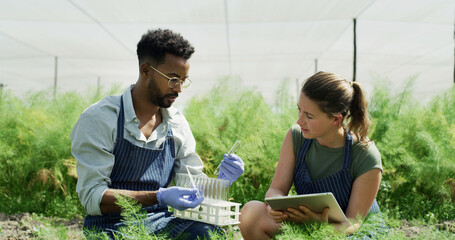 Scientist, pipette and test tube with plants in greenhouse for research with botanical study. People, tablet or testing sample with equipment, observing growth and experiment for agricultural science © peopleimages.com
