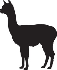Alpaca in silhouette. © Sundas