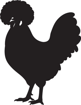 Polish Chicken in silhouette on white background.