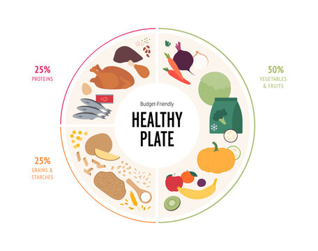 Vector flat infographic of a budget healthy plate with macronutrient percentages. Chart shows 50 percent fruits and vegetables, 25 proteins, 25 grains. Cheap diet meal planning guide and diagram.