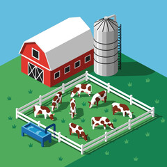Cows grazing in a fenced farm yard with a red barn and silo. © Syakilla
