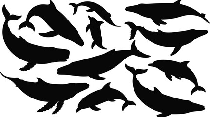 Whale and dolphin silhouettes, marine mammal shapes collection, ocean wildlife icons, sea animal vector set isolated © meftahul creatives