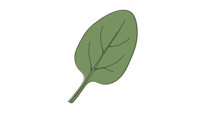 Green leaf with stem and veins.