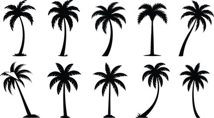 Black palm tree silhouettes set, tropical coconut palms collection, summer beach nature icons, isolated vector design on white background © MdAbdul