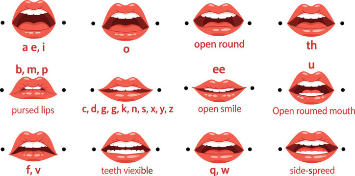 Human Mouth Phoneme Chart with Lip Positions for English Pronunciation and Speech Therapy Education Vector Illustration Set