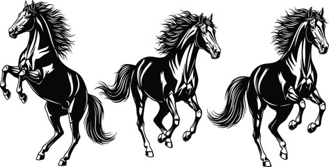 Black and white horse silhouette set featuring powerful stallions galloping and rearing with flowing manes isolated on a white background. © MdFiroz