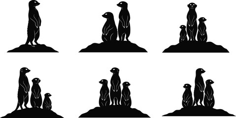 Black and white jaguar vector illustration, spotted leopard predator graphic, exotic jungle wild cat standing, safari animal icon for design. © MdFiroz